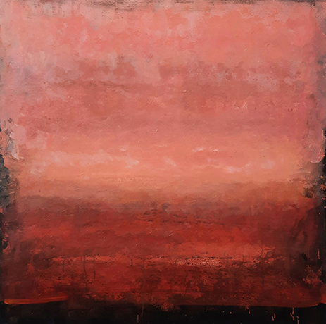 Toon Kuijpers : website intro